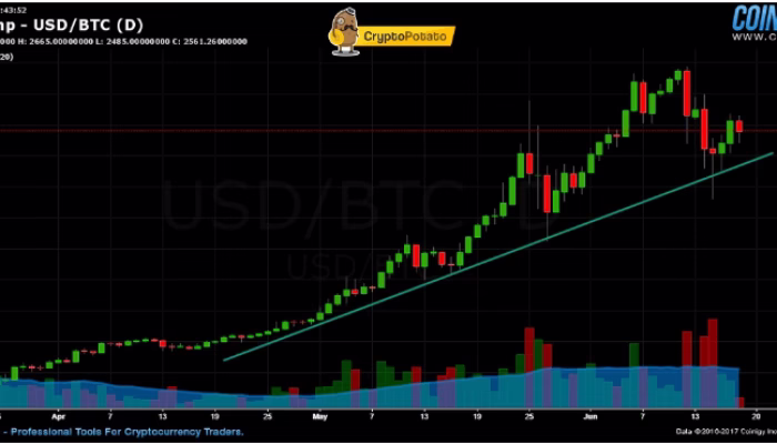 Gila! 6 Cara Investasi Kripto Paling Agresif